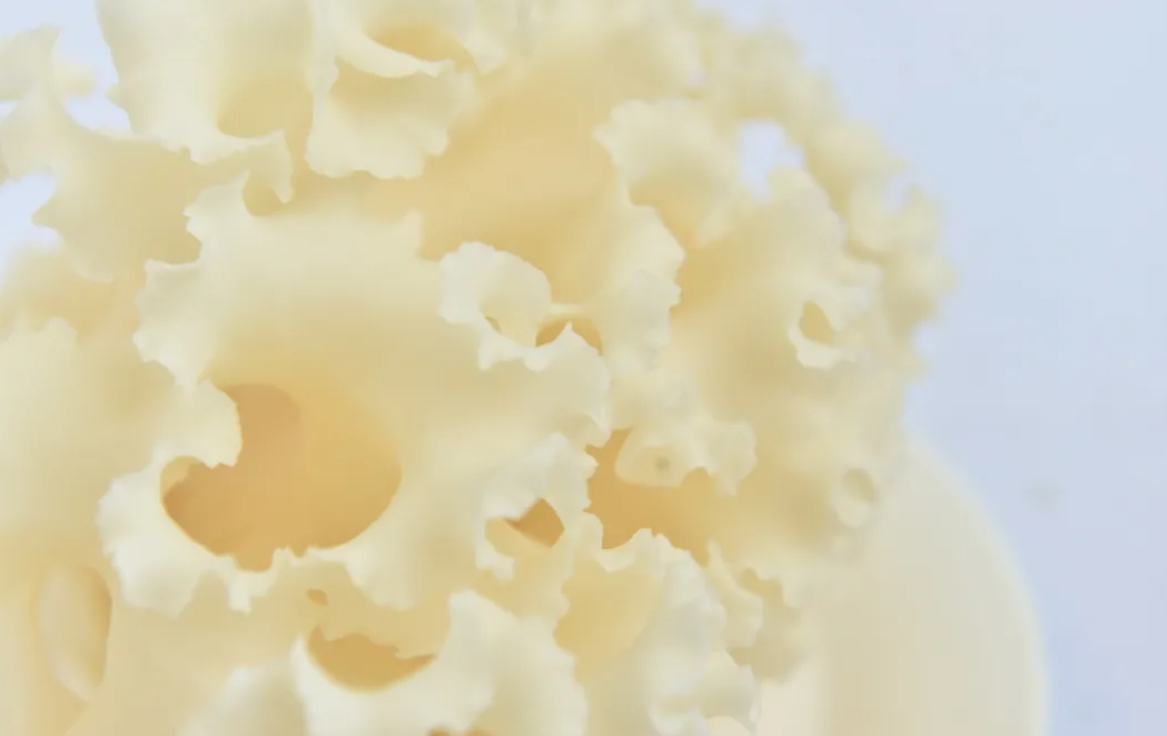 Snipaste_2025-01-20_20-14-05.png