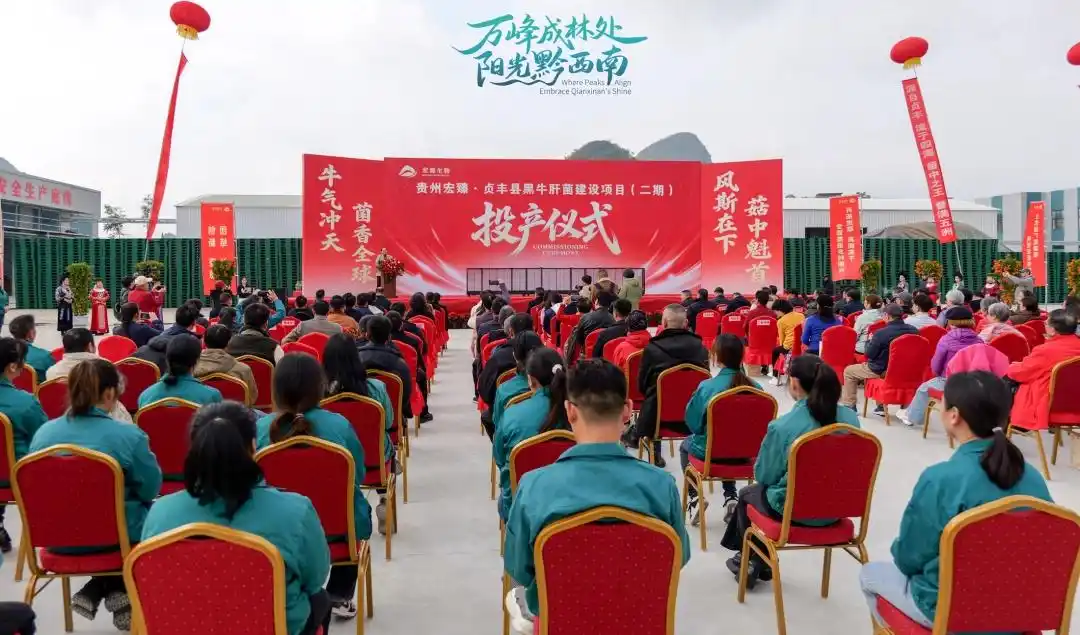 Qianxinan Zhenfeng construit la plus grande base de production industrialisée de cèpes bronzés de Chine 02.webp