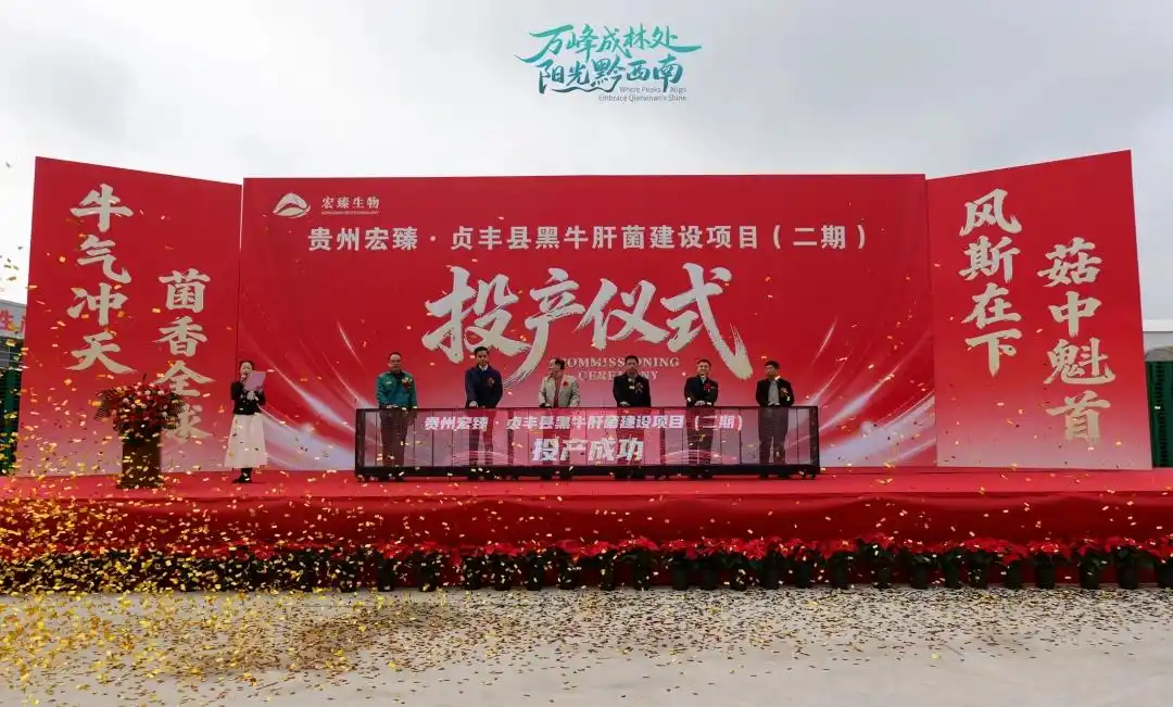 Qianxinan Zhenfeng construit la plus grande base de production industrialisée de cèpes bronzés de Chine 03.webp 