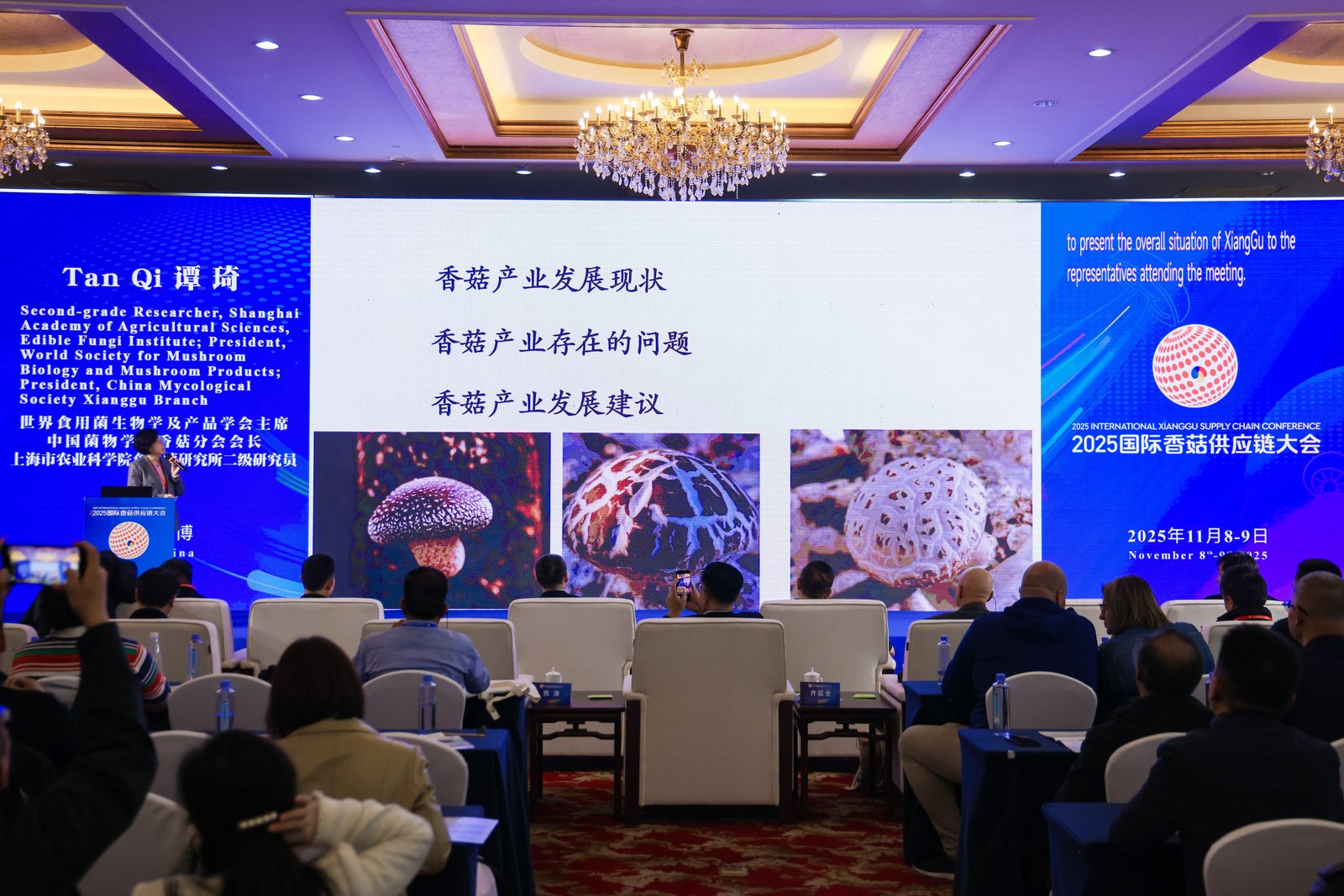 Qihe, connecter le monde à travers les champignons : La Conférence internationale 2025 sur la chaîne d'approvisionnement du Shiitake s'est ouverte en grande pompe à Zibo, au Shandong 12.jpg 