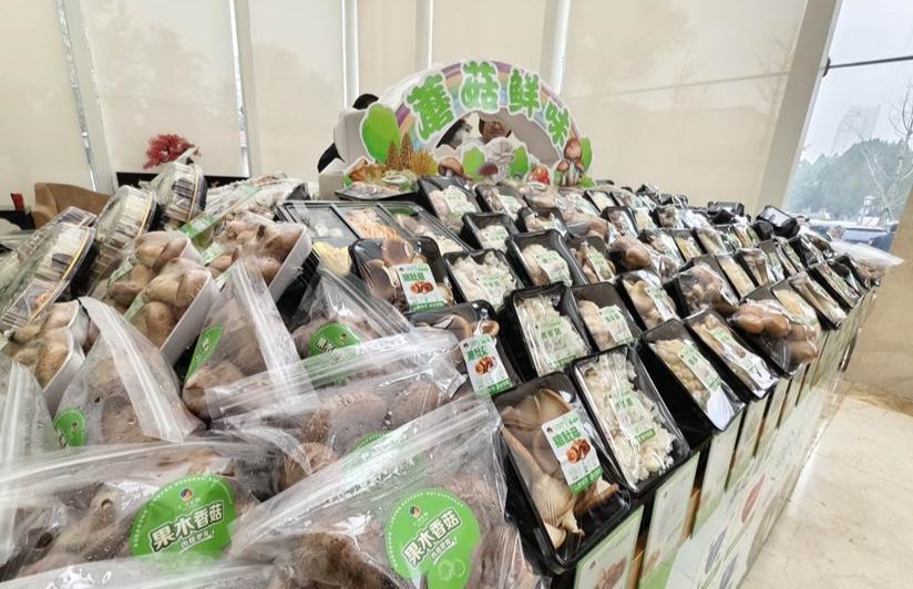 En utilisant les champignons comme vecteur, ce forum international de l'industrie a une fois de plus tissé un lien avec Zibo 03.jpeg