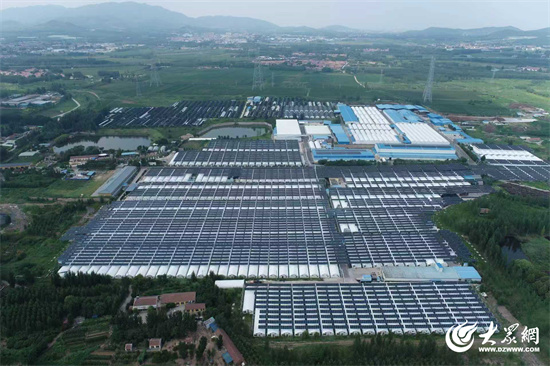 Seven Rivers Biotechnology : Remodeler l'industrie du shiitake avec des usines intelligentes, mener la transformation numérique de l'agriculture 01.jpg 